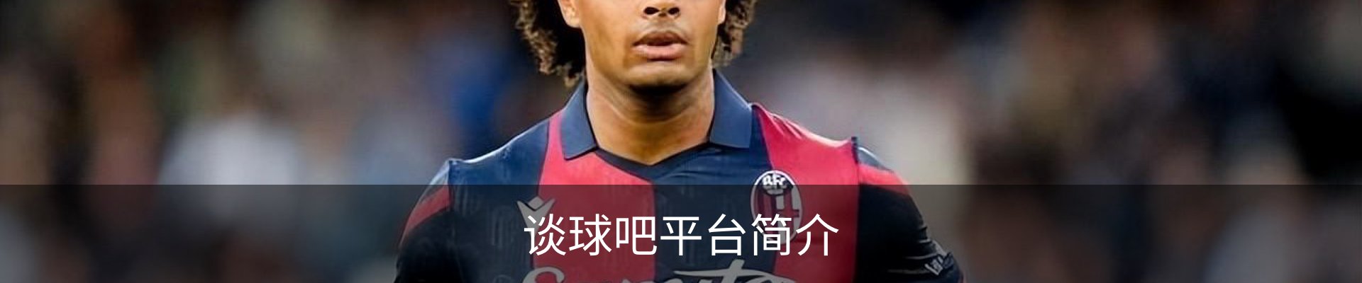 谈球吧平台简介